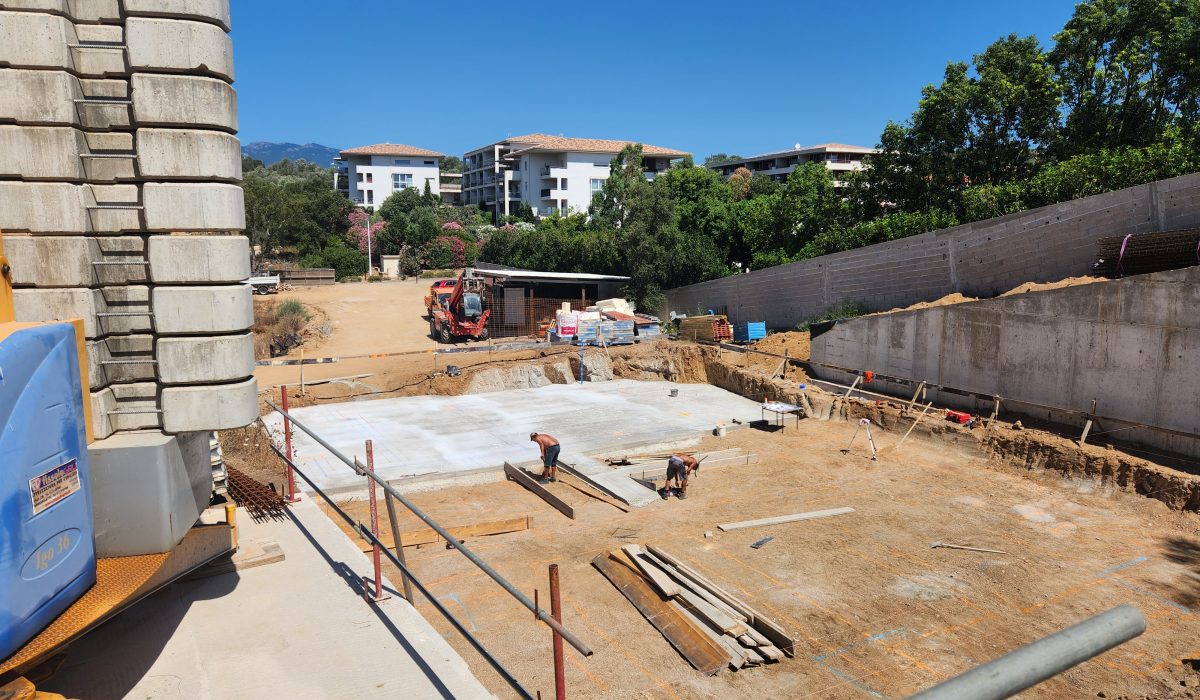 20240711 dalle bat B